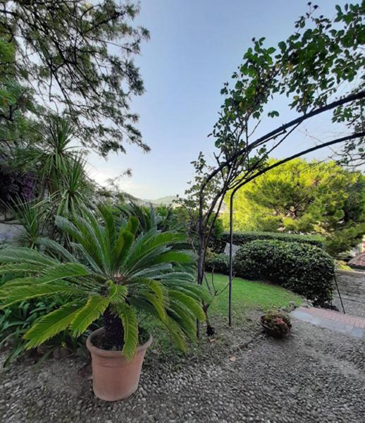 Casa Gazzano Villa Imperia Buitenkant foto